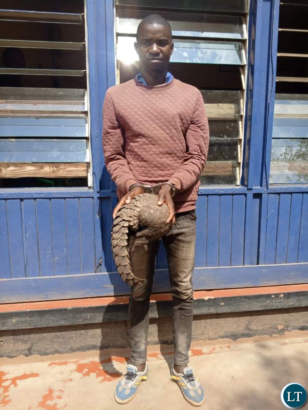 Chiengi man charged for Pangolin possession