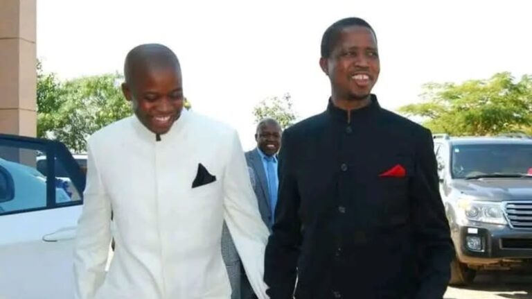 Court strips Dalitso Lungu of over 70 vehicles and properties