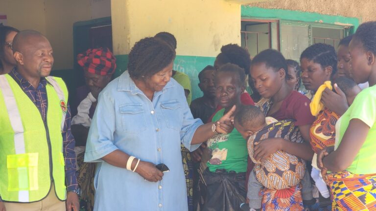 ECZ Urges professionalism during voter register inspection