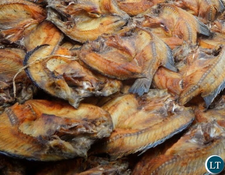 Kasempa DNPW seizes dried Fish