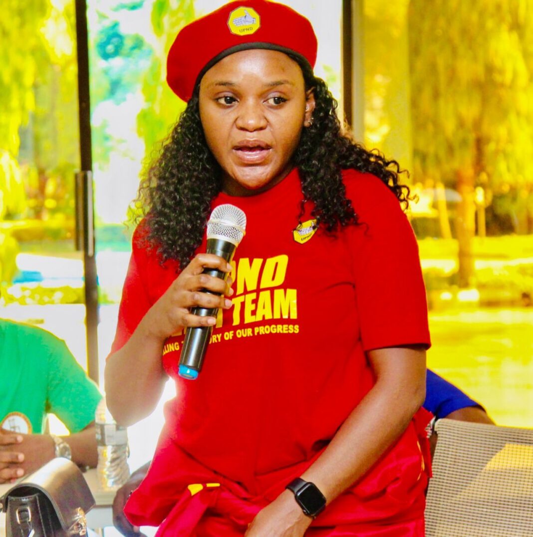 United Party for National Development Backs Illegal Mining Crackdown