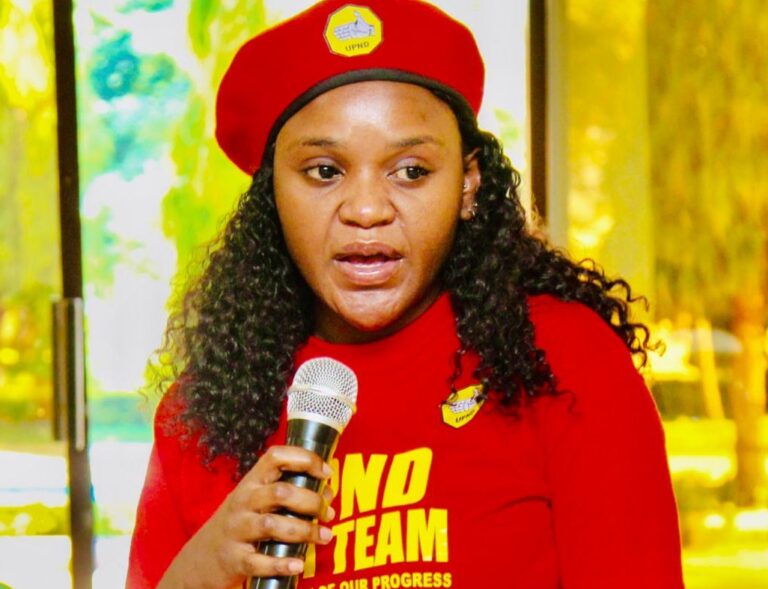United Party for National Development Backs Illegal Mining Crackdown