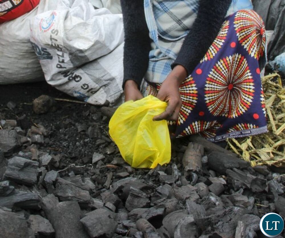 Government Urges Charcoal Traders to Shift to Gas to Curb Deforestation