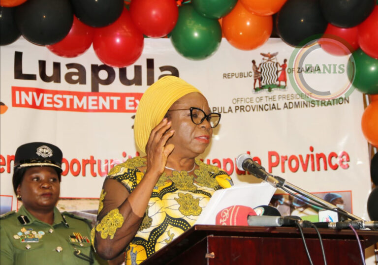 VEEP calls for more investor partnerships