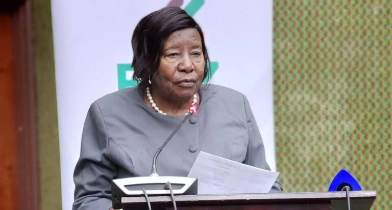 ECZ Chairperson Zaloumis Defends Delimitation Process