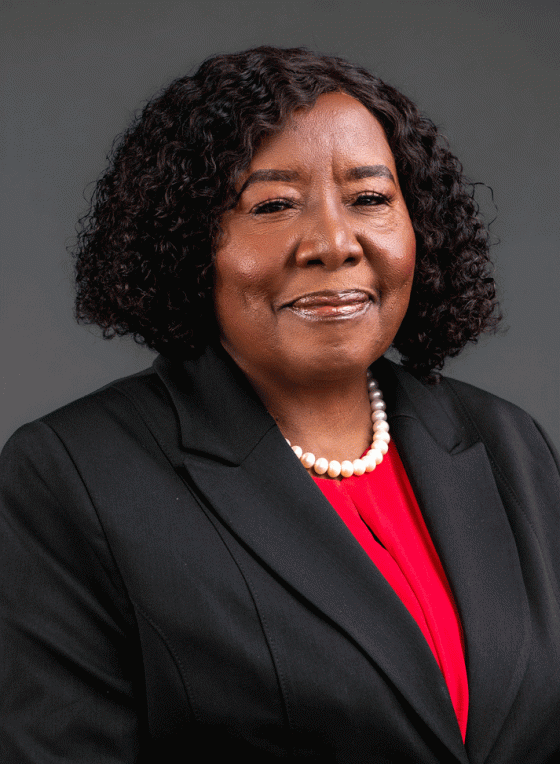 ECZ dismisses claims of pre‑allocated constituencies