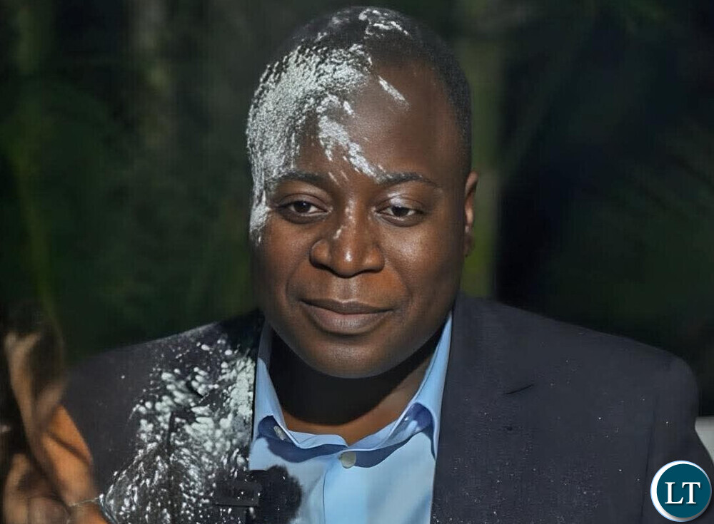 Morgan Ng’ona Sues Makebi Zulu, Lubinda Over PF Convention