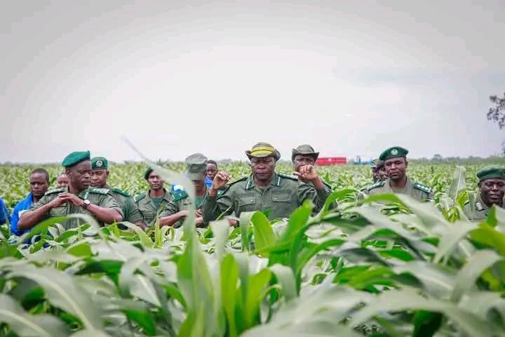 ZCS backs Govt food security drive