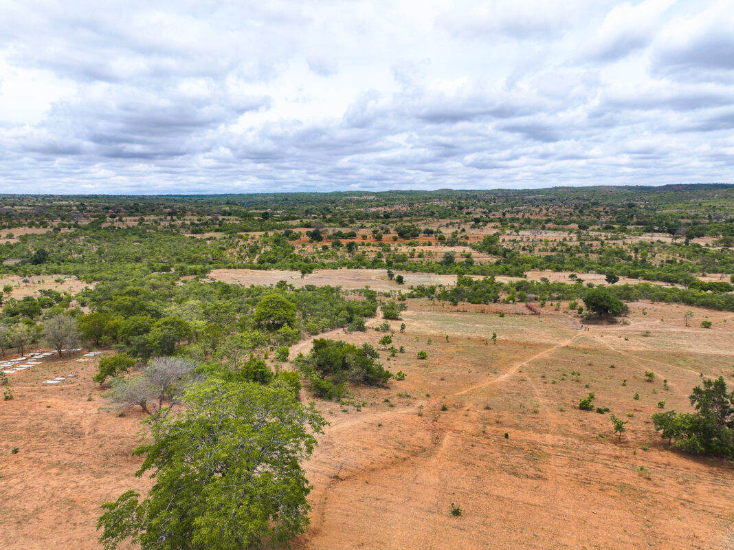 Zambia Requires $50 Billion for Climate Obligations by 2030