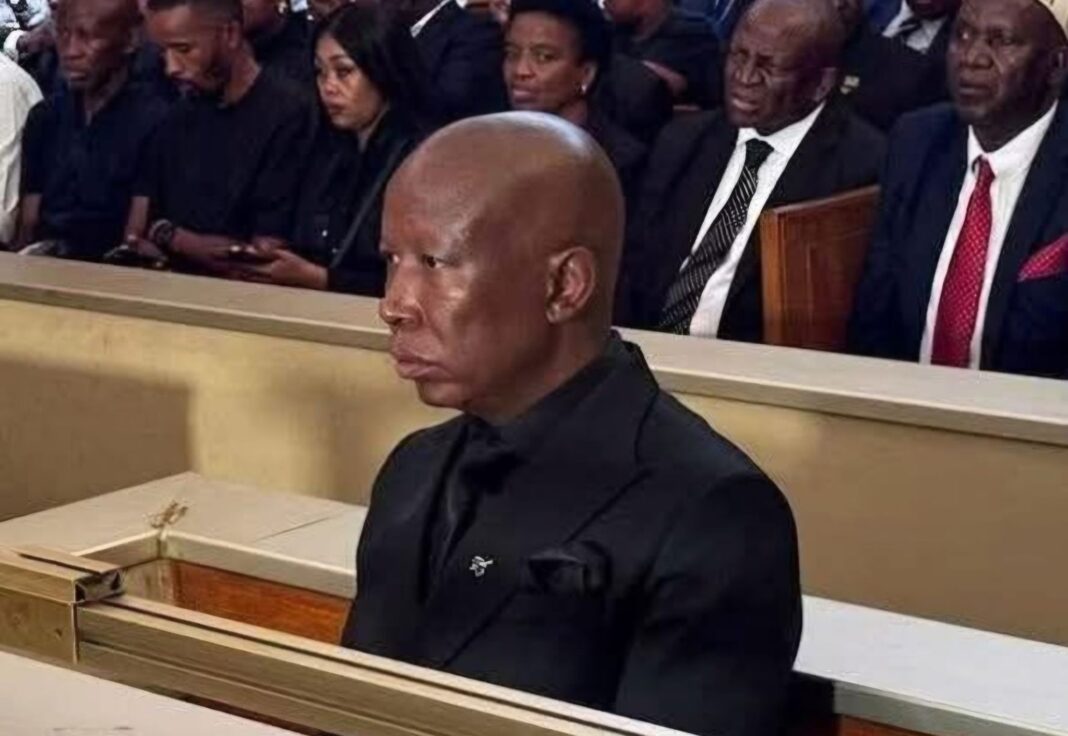 Julius Malema Sentenced to Five Years in Prison Over Firearm Offences