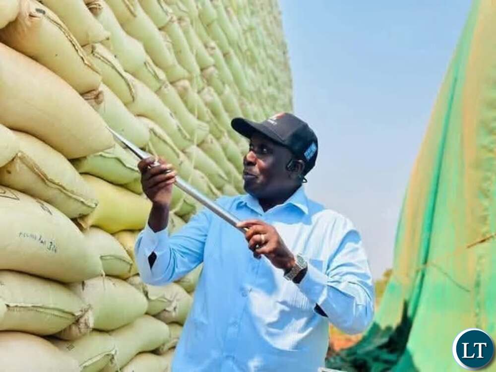 FRA urges farmers to avoid selling maize at giveaway prices