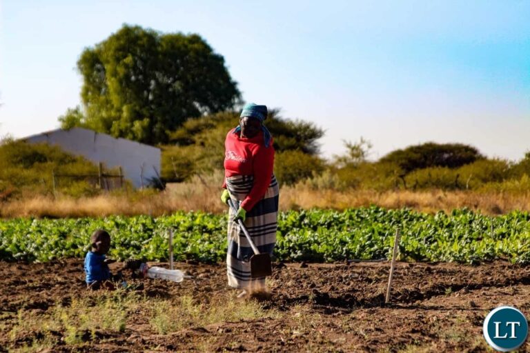 Farmers urged to Prioritise Household Food Security