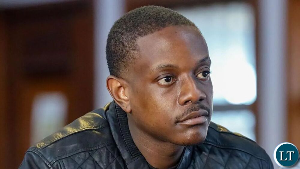Mugabe’s son pleads guilty to firearm, immigration charges in South Africa