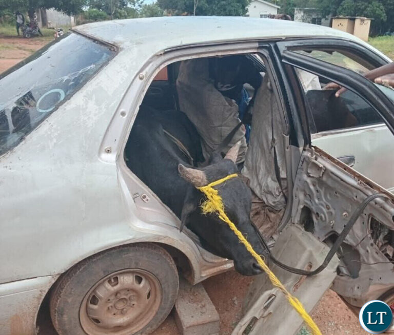 Police Intercept Thieves in Katete Transporting Cattle in Corolla