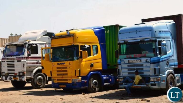 Zambia and Tanzania in Talks Following Mob Killing of Truck Driver