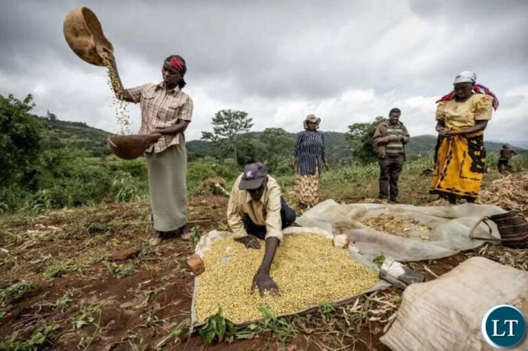 China Signals Interest in Buying 3 Million Tonnes of Zambian Soybeans