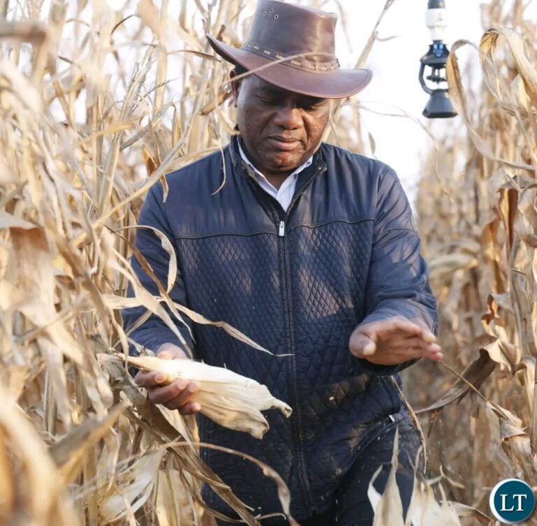Zambia Nears Halfway Mark Towards 10 Million Metric Tonnes Maize Target