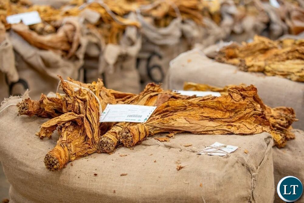TBZ warns farmers against unlicensed tobacco buyer