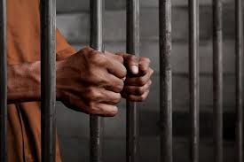 2 Vubwi men nabbed over fake academic certificate