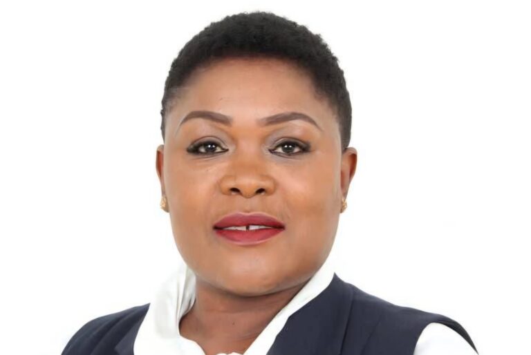 ZEMA approves over 100 development projects
