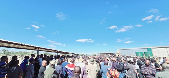 Government begins public auction of Chitambo assets