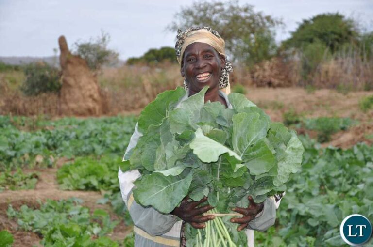 Govt.committed to improving agriculture sector