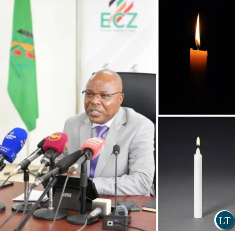 Independent candidates decry symbol withdrawal by ECZ