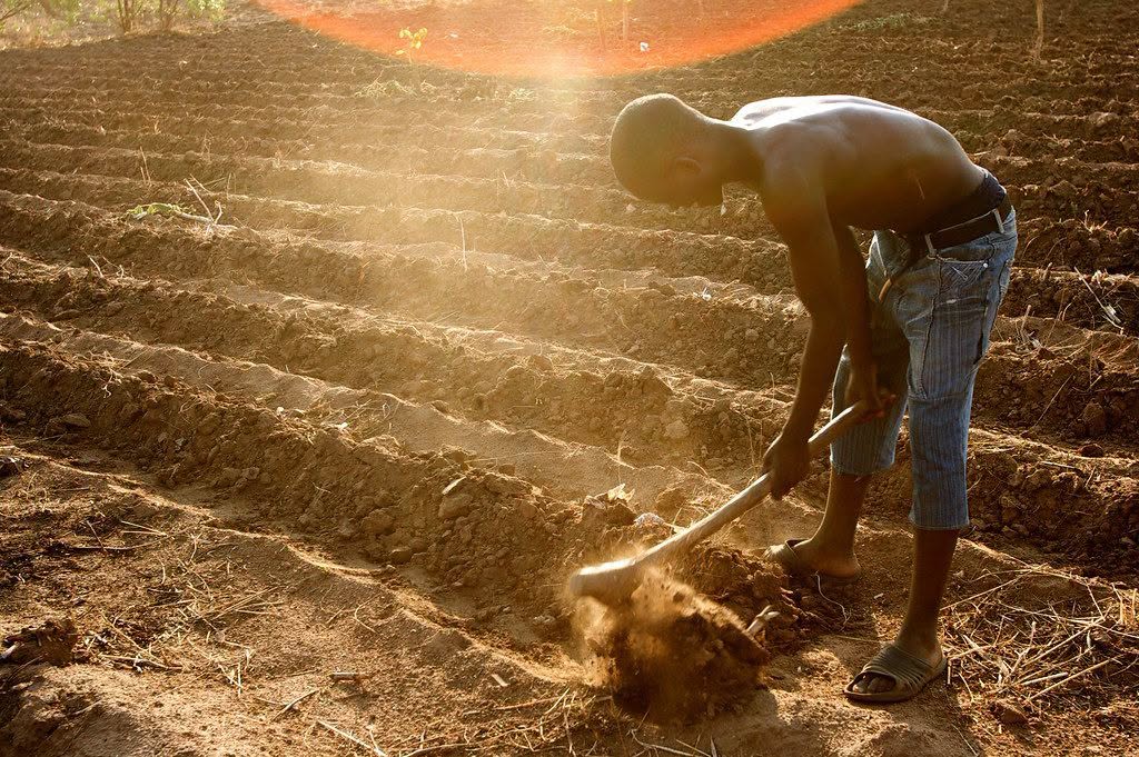 Over 67, 900 NW farmers to get FISP support